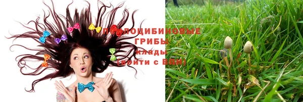 героин Алзамай