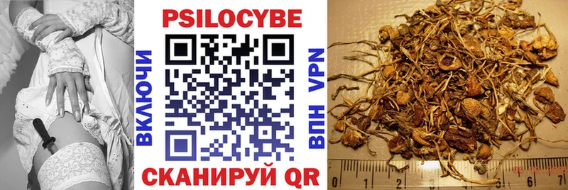 Псилоцибиновые грибы Psilocybine cubensis  darknet наркотические препараты  Поронайск  как найти закладки 